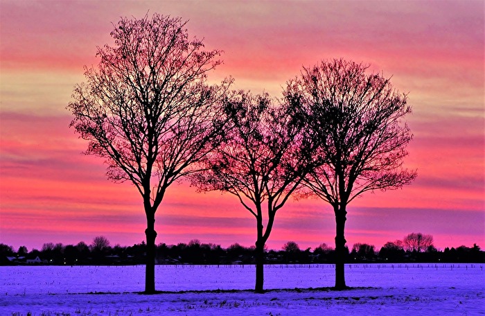 " Drei - Einigkeit "