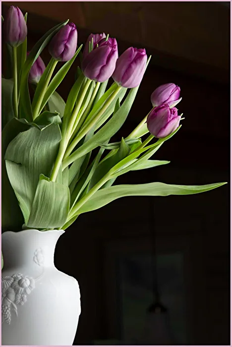 Still life with bouquet of tulips