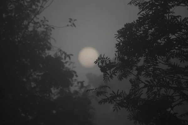 Ebenen im Nebel