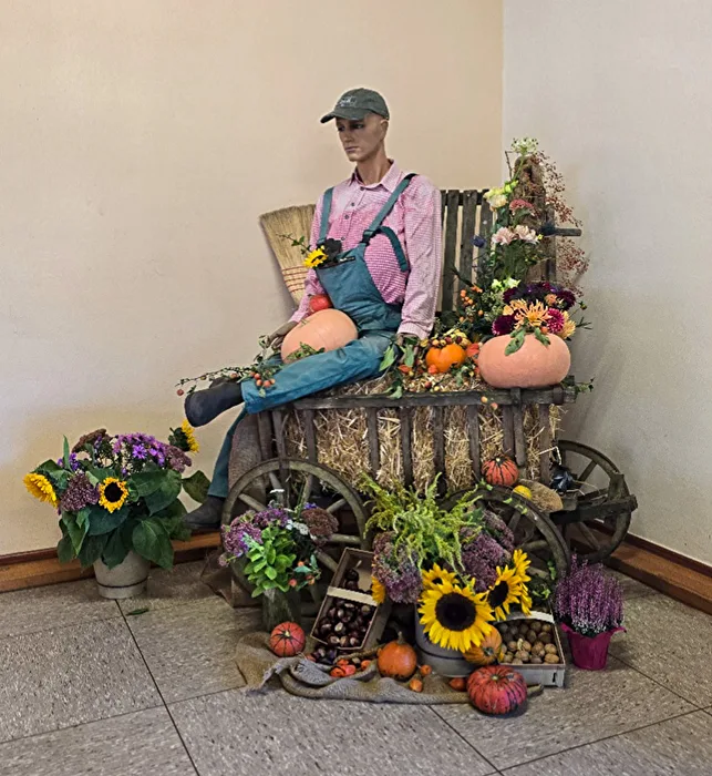 Potato festival
