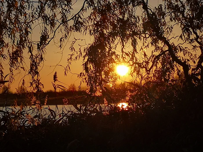in the evening