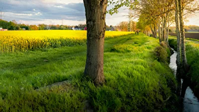 Abendstimmung