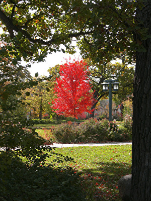 Minneapolis, Minnehaha Park