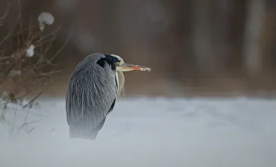 Abkühlung in Sicht! Temperatursturz nach Hitze-Wochenende