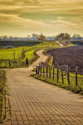 Weg nach Hause