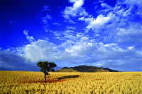 Wolkberg - am Rand der Namibwüste