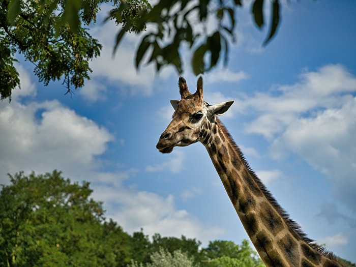Ich schau mir die Welt von oben an!