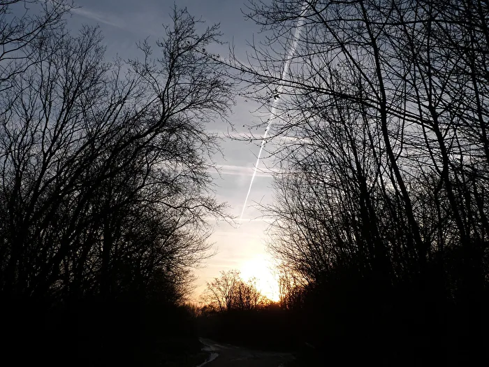 The light is on the horizon