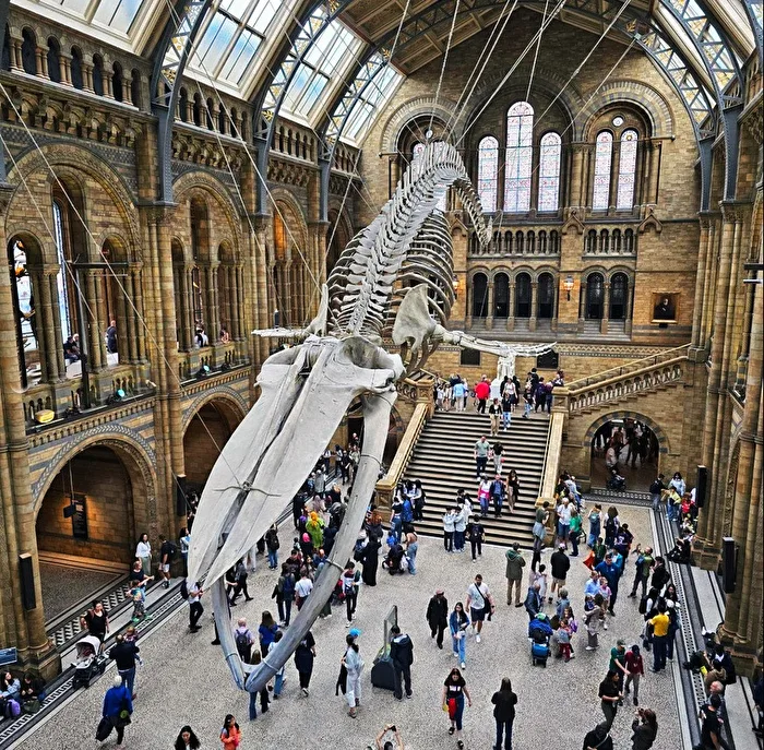 Natural History Museum in London