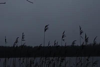 vor dem Sonnenaufgang