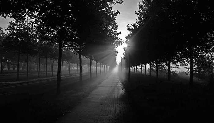 Licht