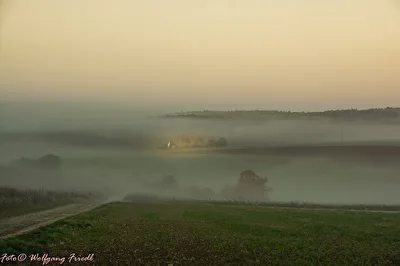 ohne Titel