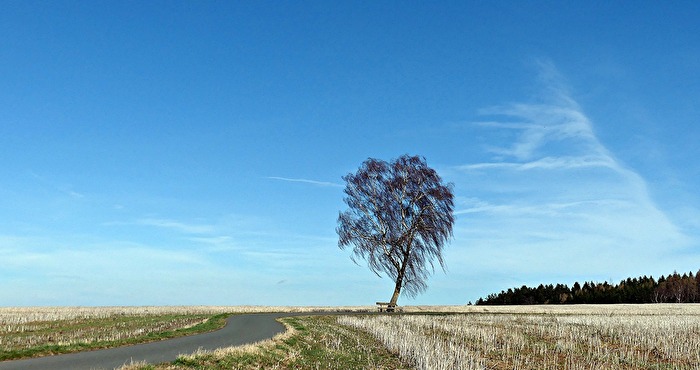 Stürmischer Wind
