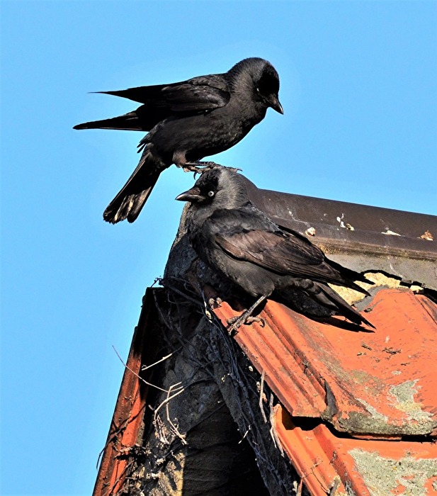 " Gesucht und gefunden "