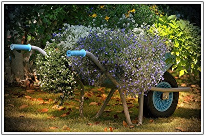 Mobiler Blumenkasten