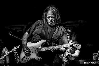 Walter Trout