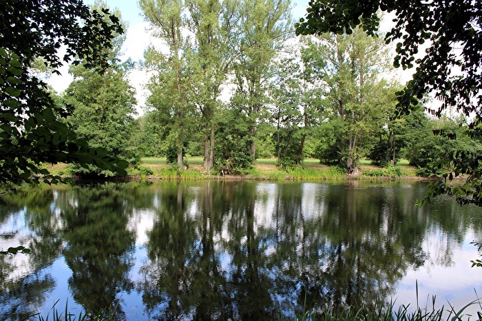 Die Bäume am anderen Ufer.