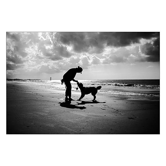 Gegenlicht am Strand