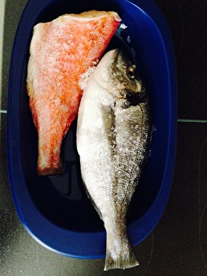 Roter Fisch und Dorada