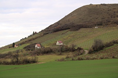 Der Nüssenberg