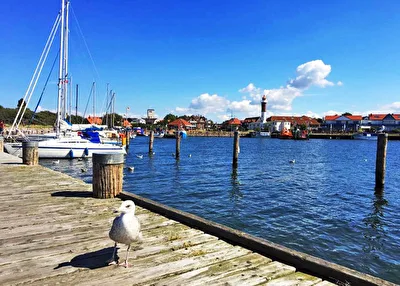 kleiner Hafen mit Möwe