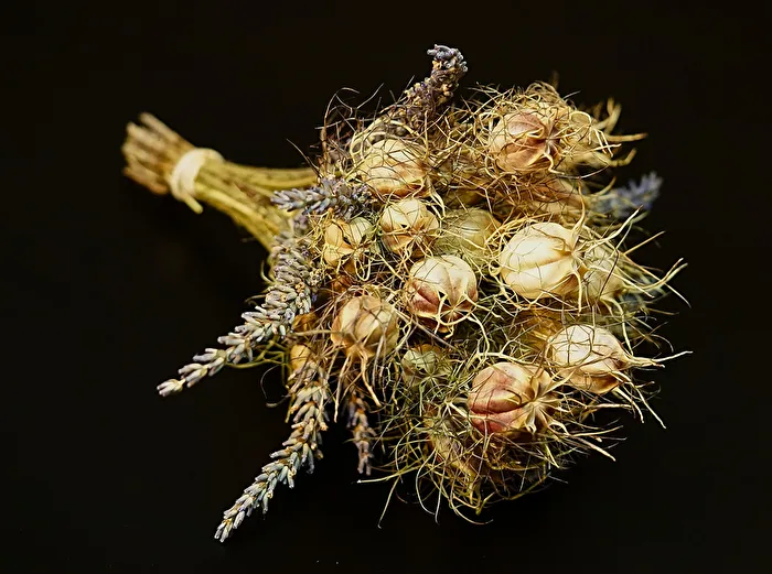 Trockenblumen