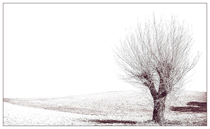Winterschlaf