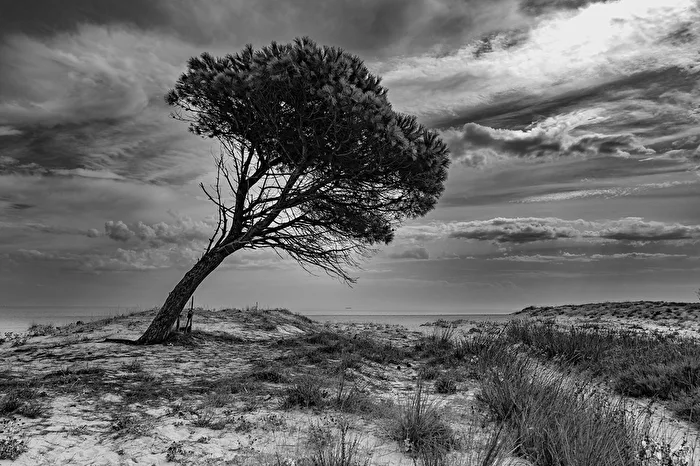 Dem Wind geschuldet