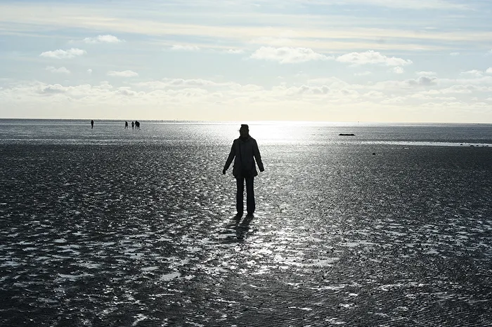 Das Wattenmeer