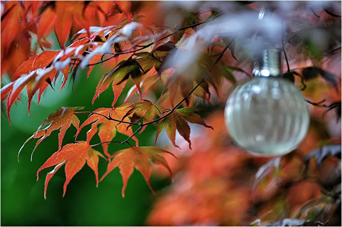 The autumn comes...