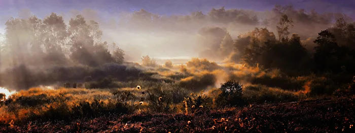 Morgenstimmung