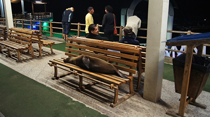 Schlaf - nachts im Hafen von Puerto Ayora / Sta. Cruz / Galápagos