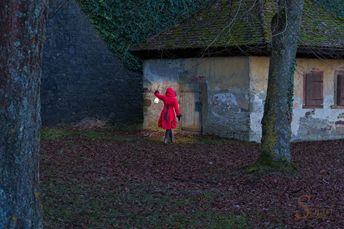 Haus im Wald