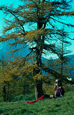 EIN WUNDERBARER HERBSTTAG IN DER RAMSAU, STEIERMARK, ÖSTERREICH. DAS BILD IST EIN DIA-SCAN UND ES IS