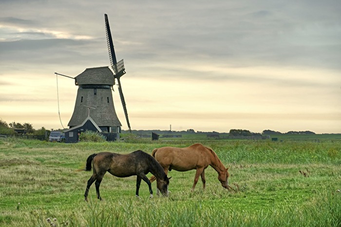 Wann ist endlich wieder Sommer???