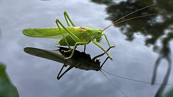 Fotowettbewerb-08-23