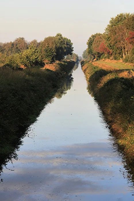 Drainage ditch in the raised bog...
