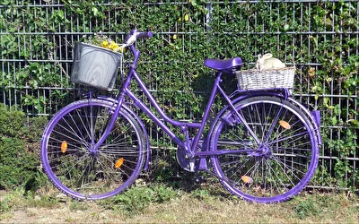 Fahrrad