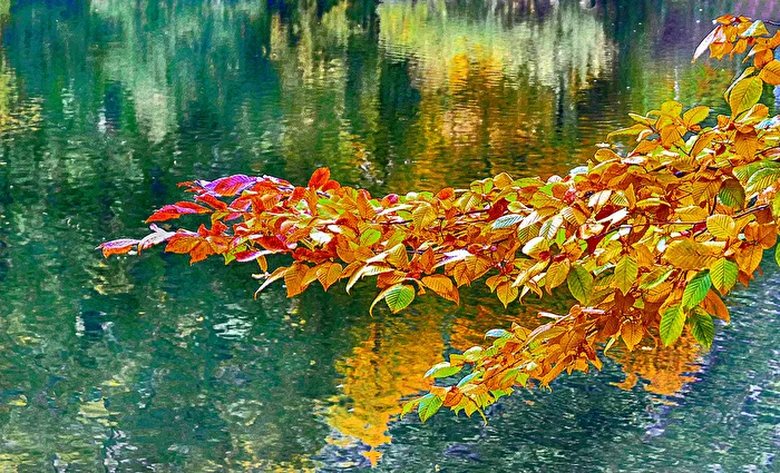 Bunt sind schon die Blätter