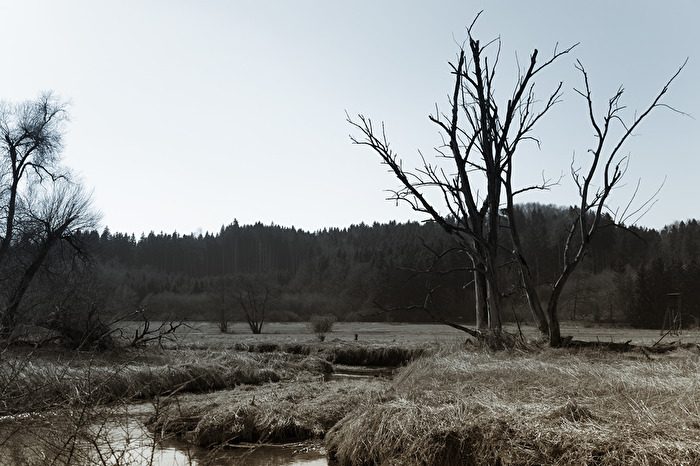 Dem Frühling fehlen noch Farben