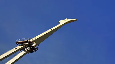 Brücken - the bird