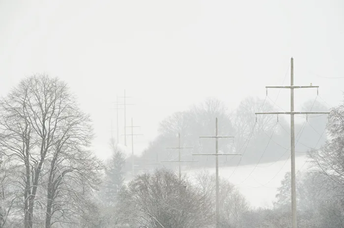 Freileitung im leichten Schneefall, mit Bussard