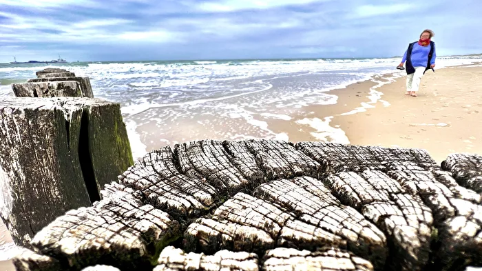 Die Frau und das Meer