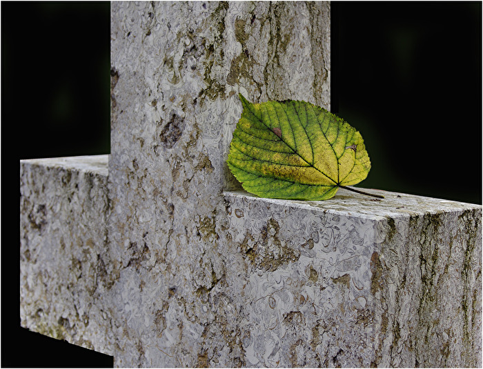 Gefallen
