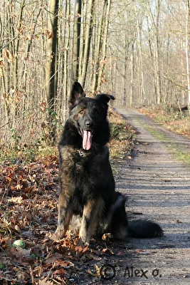 Waldspaziergang