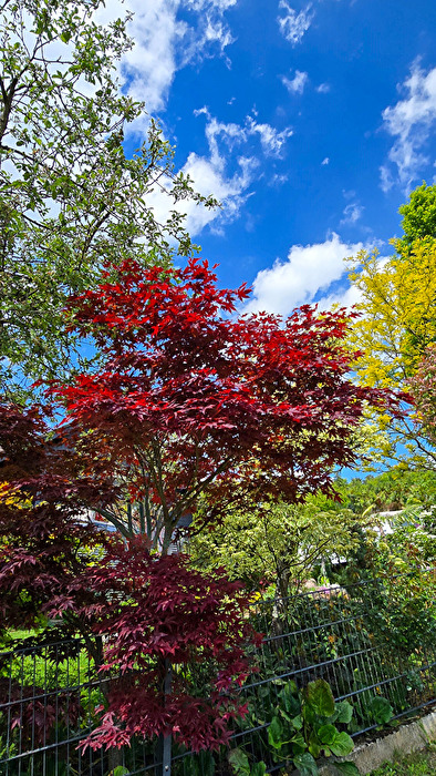 Frühling