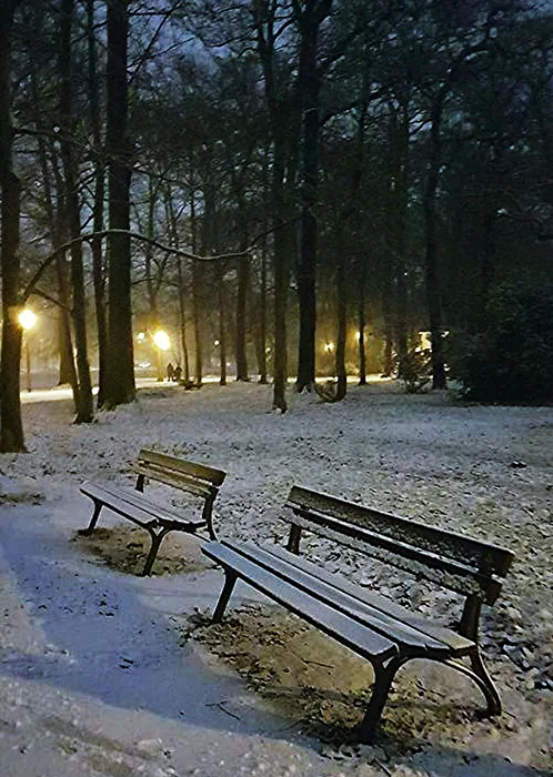 Abends im Park 2