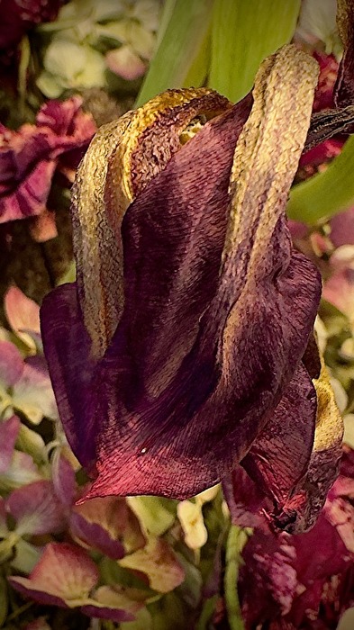 Alt….. aber immer noch irgendwie schön