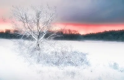 Wintermärchen