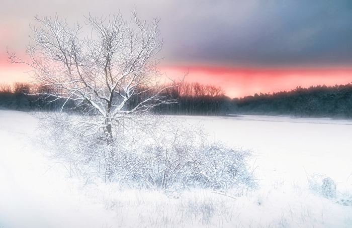 Wintermärchen